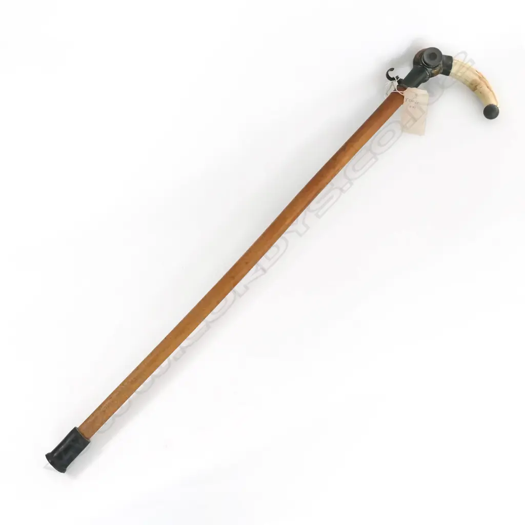 RARE WALKING CANE w MICROSCOPE INSET HIPPO TUSK HANDLE Image 1++